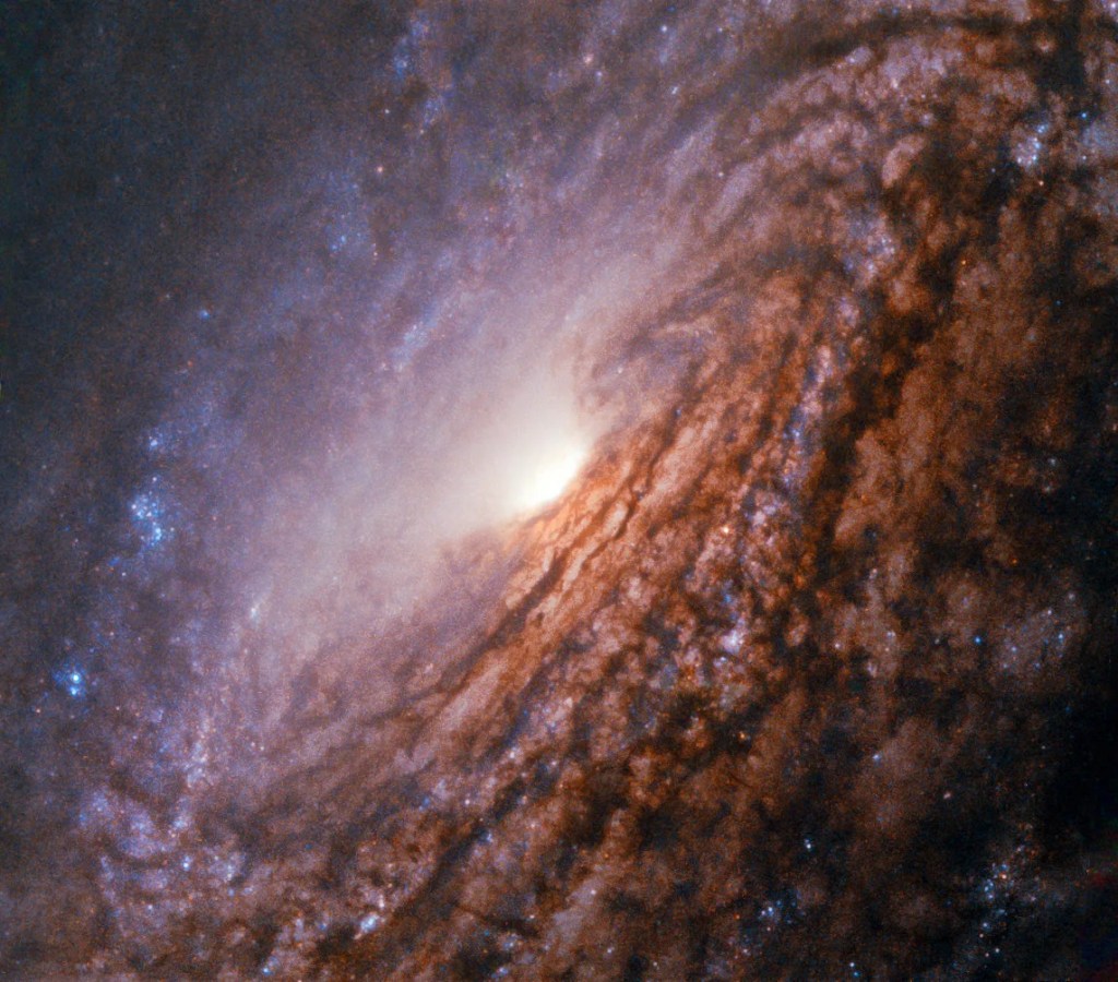 NGC 5033: Unbarred Spiral Galaxy in Canes Venatici