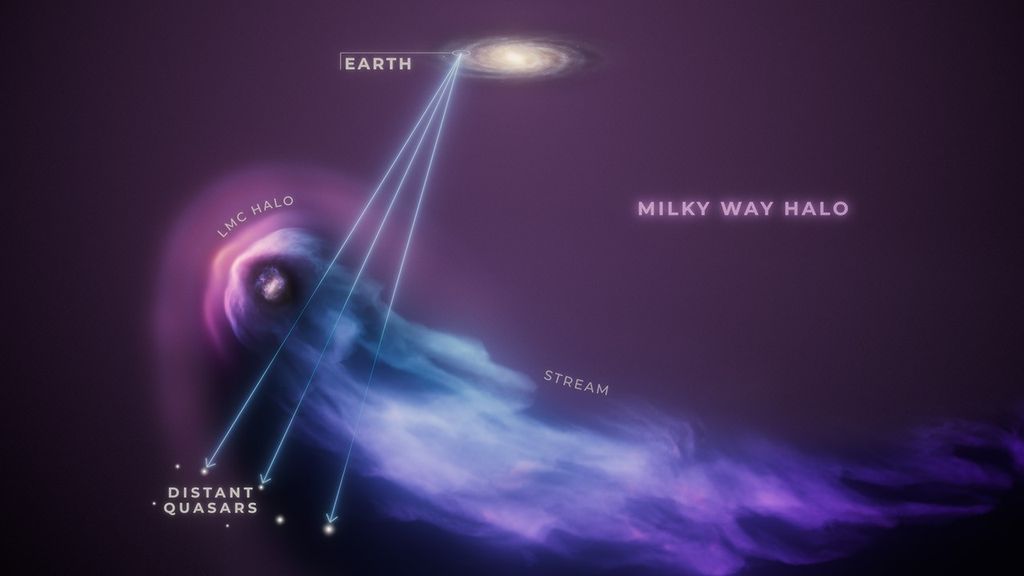 Survival at the Edge of the Galaxy: NASA's Hubble Reveals the LMC's Struggle for Existence.